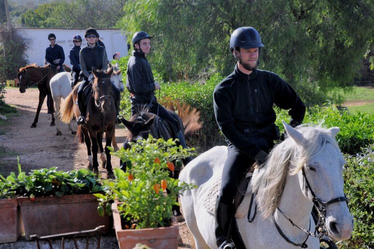 Horse Riding (10) Horseriding trips for all levels from beginners to the experienced.