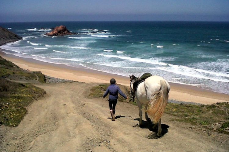 The views on a AltaVista horseriding trip are simply incredible