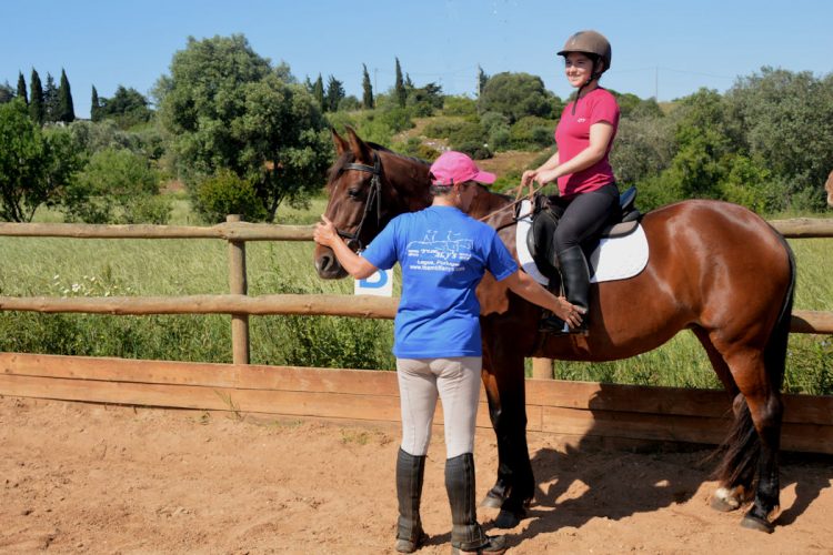 Horse Riding (3) Horse riding days are perfect if you are a beginner or an expert