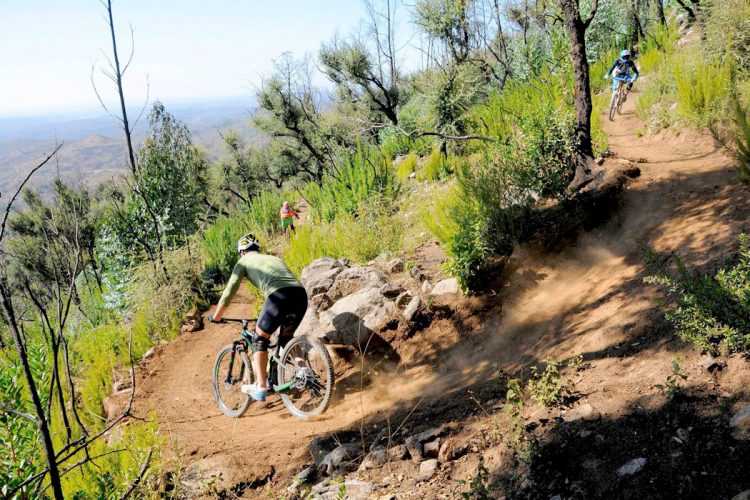 Mountain biking (3) An AltaVista guest descending