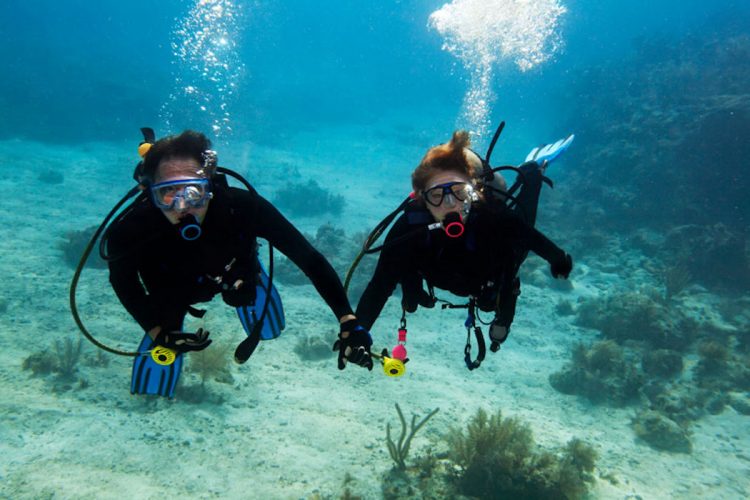 Divers (7) The coastline off the Algarve is perfect for diving of any experience
