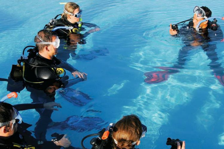 Divers (2) Take an AltaVista 'Beginners' course and dive in the pool and the sea