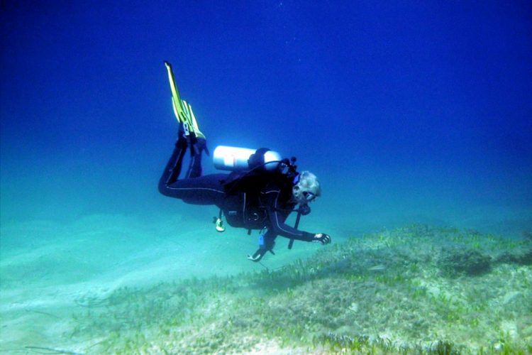 An AltaVista Scuba diver taking a Dive Master course