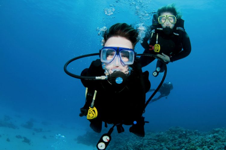 Divers (6) Enjoy our awesome underwater Scuba world when you stay at AltaVista